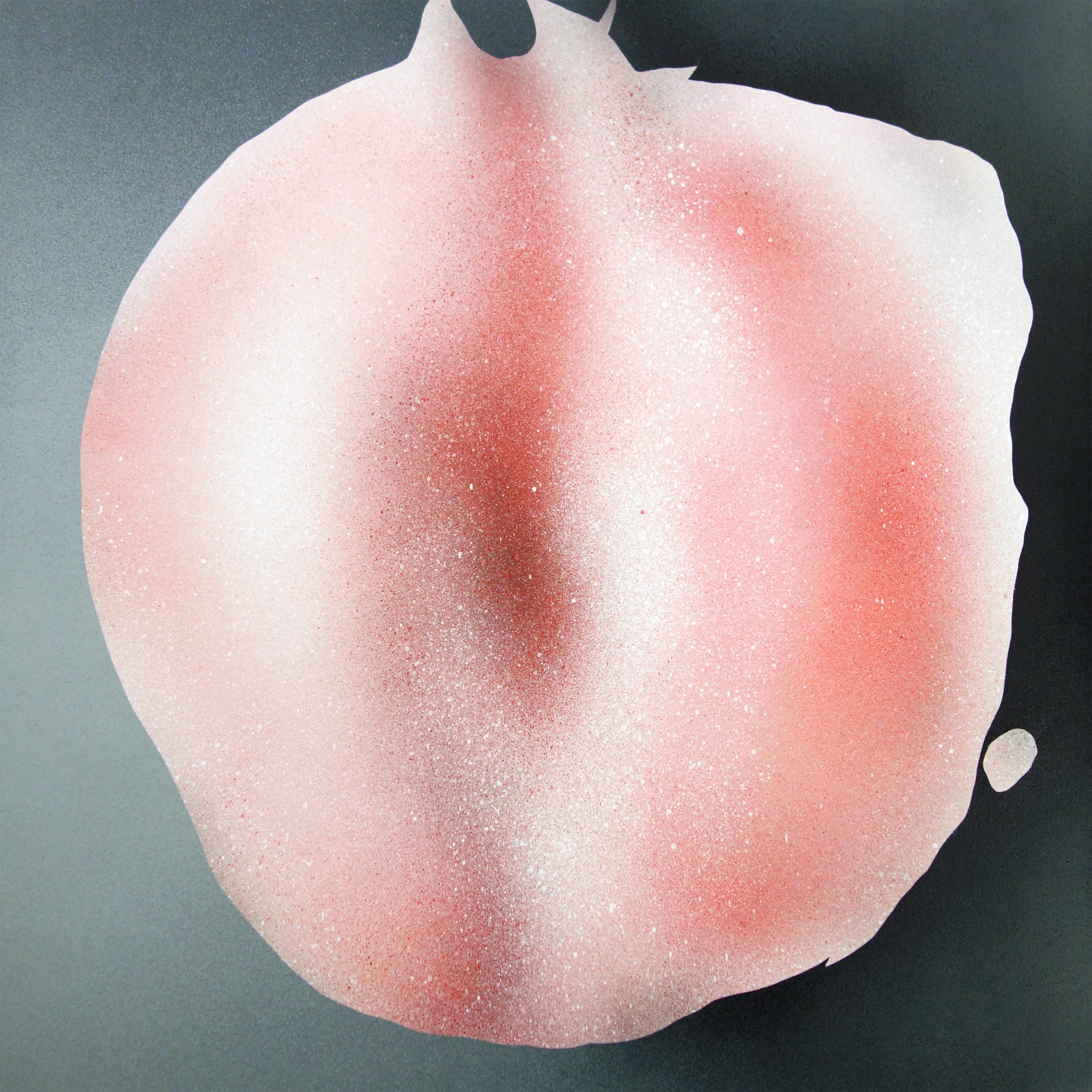 PFP - WOC x The Pink Lemonade