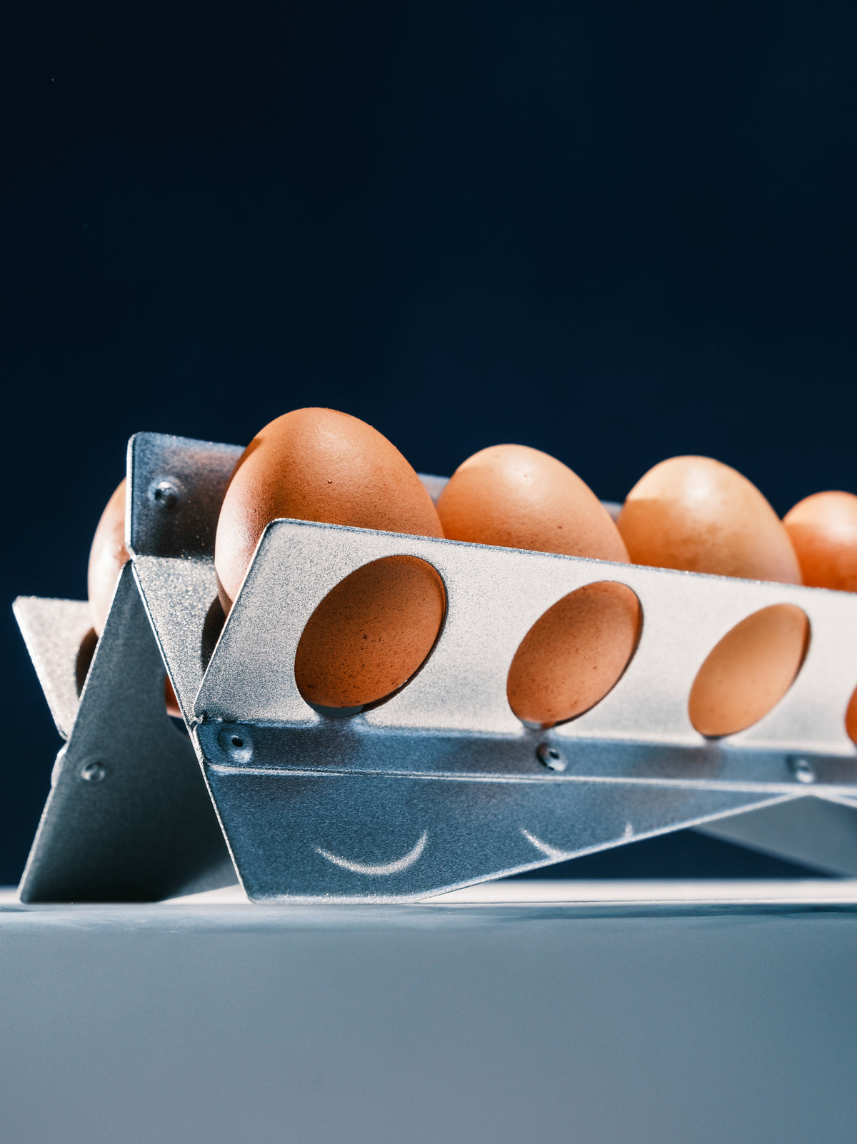 Eggs Holder