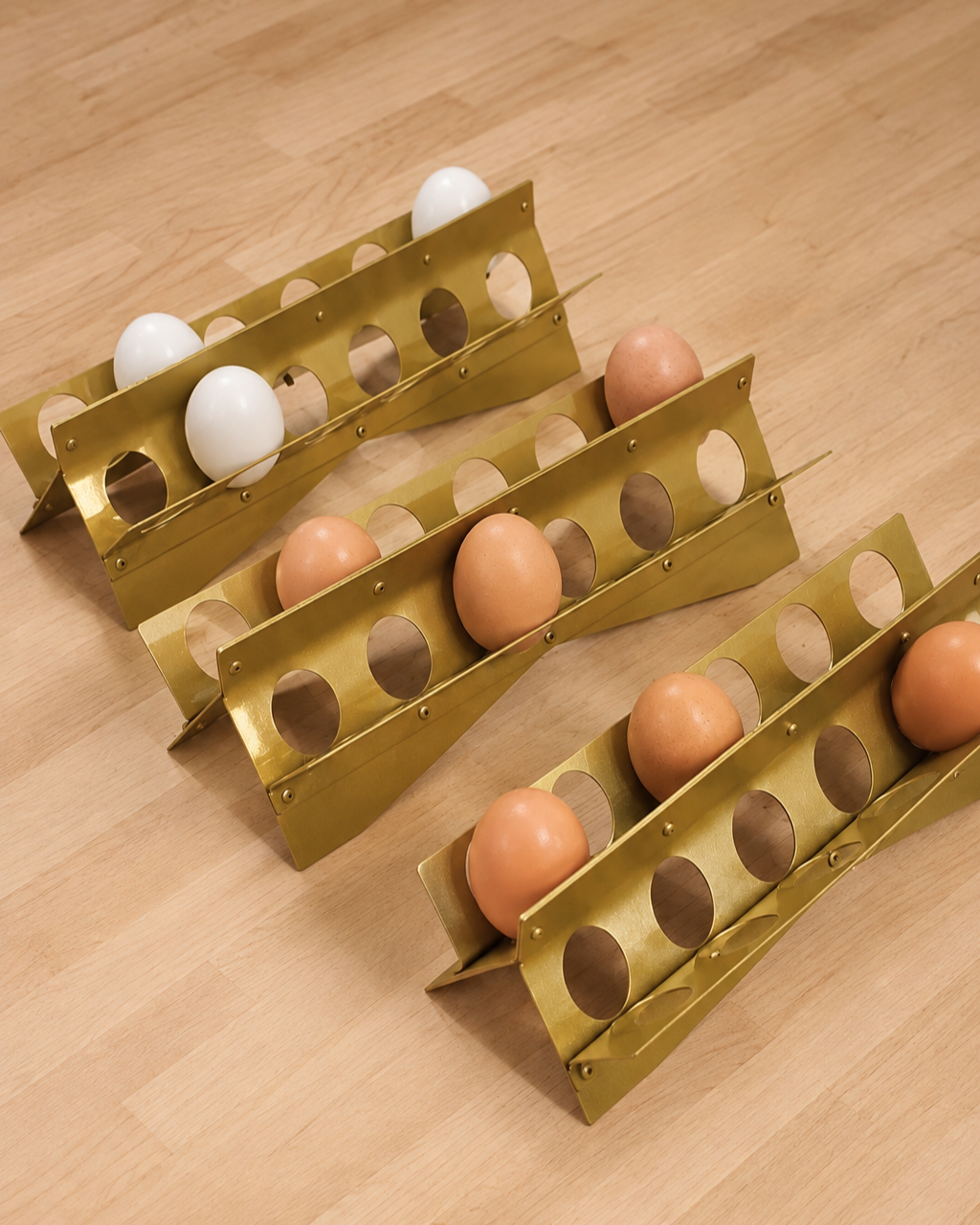 Eggs Holder