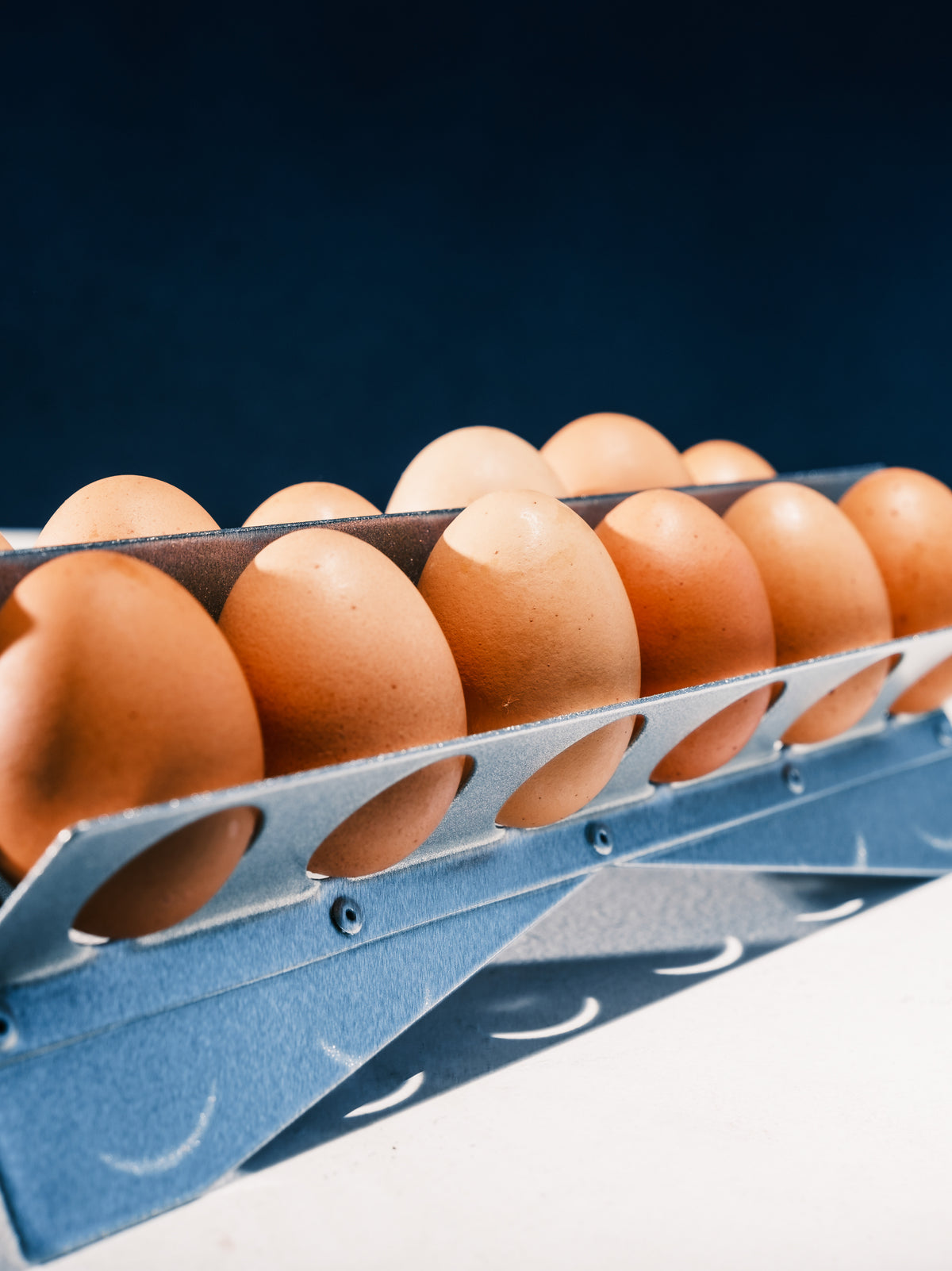 Eggs Holder