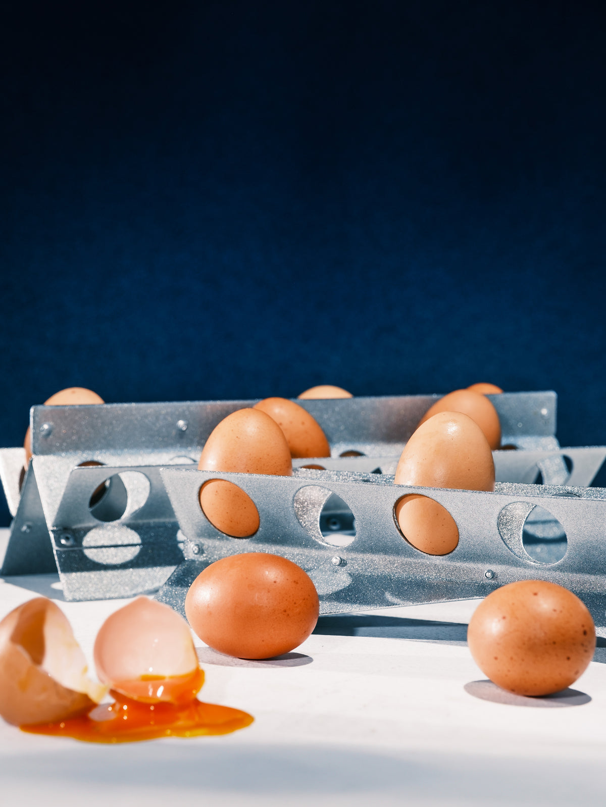 Eggs Holder